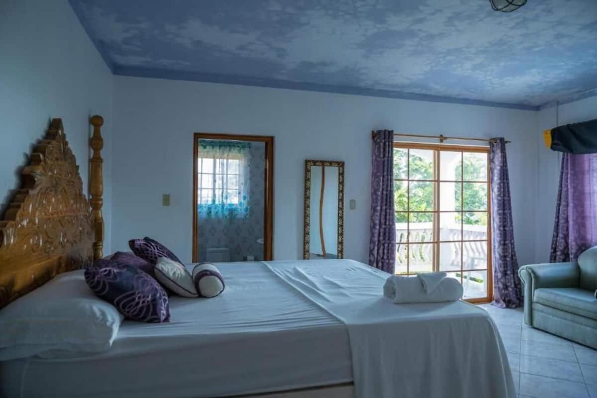 Sweetsop Jamaica Villa And Tours Монтего-Бей Екстер'єр фото